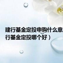 建行基金定投申购什么意思(建行基金定投哪个好)