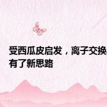 受西瓜皮启发,离子交换膜设计有了新思路