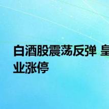 白酒股震荡反弹 皇台酒业涨停