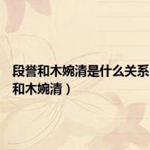 段誉和木婉清是什么关系(段誉和木婉清)