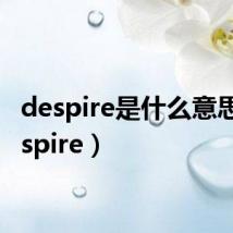 despire是什么意思(despire)