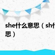 she什么意思(sh什么意思)