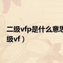二级vfp是什么意思(二级vf)
