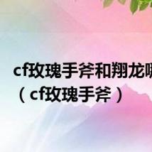 cf玫瑰手斧和翔龙哪个好(cf玫瑰手斧)