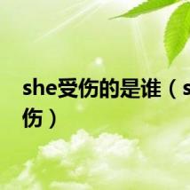 she受伤的是谁(she受伤)