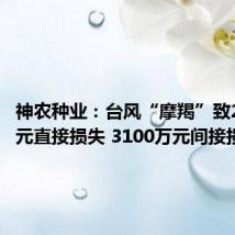 神农种业:台风“摩羯”致2000万元直接损失 3100万元间接损失
