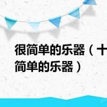 很简单的乐器（十大最简单的乐器）
