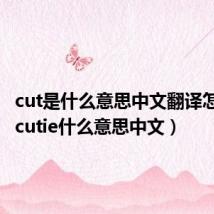 cut是什么意思中文翻译怎么读(cutie什么意思中文)