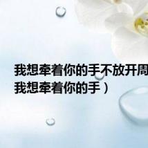 我想牵着你的手不放开周杰伦(我想牵着你的手)