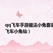 qq飞车手游魔法小兔套装(qq飞车小兔仙)