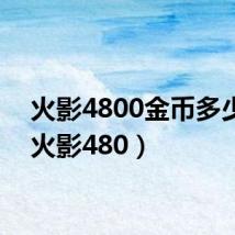 火影4800金币多少钱(火影480)