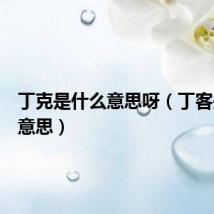 丁克是什么意思呀(丁客是什么意思)