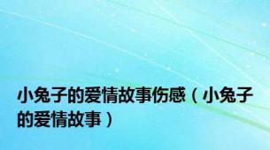 小兔子的爱情故事伤感（小兔子的爱情故事）