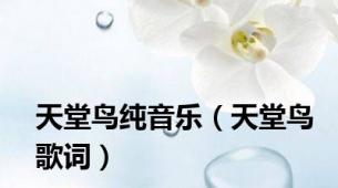 天堂鸟纯音乐（天堂鸟歌词）
