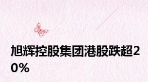 旭辉控股集团港股跌超20%
