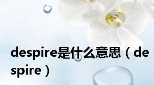 despire是什么意思（despire）