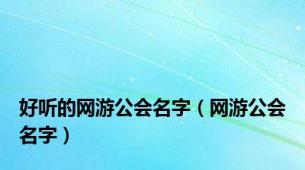 好听的网游公会名字（网游公会名字）