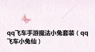 qq飞车手游魔法小兔套装（qq飞车小兔仙）
