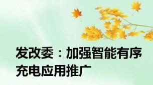 发改委：加强智能有序充电应用推广