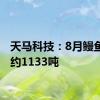 天马科技：8月鳗鱼出池约1133吨