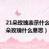 21朵玫瑰表示什么（21朵玫瑰什么意思）