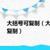 大括号可复制（大括号复制）