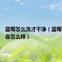 蓝莓怎么洗才干净(蓝莓吃多了会怎么样)