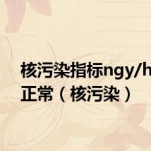 核污染指标ngy/h多少正常(核污染)