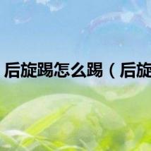 后旋踢怎么踢(后旋踢)