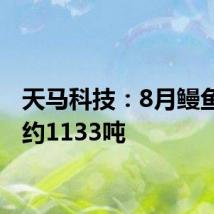 天马科技:8月鳗鱼出池约1133吨