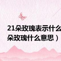 21朵玫瑰表示什么(21朵玫瑰什么意思)