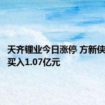 天齐锂业今日涨停 方新侠席位净买入1.07亿元