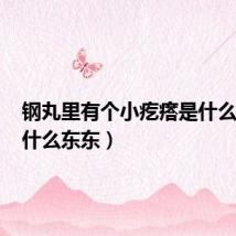 钢丸里有个小疙瘩是什么东东(什么东东)