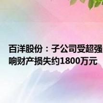 百洋股份:子公司受超强台风影响财产损失约1800万元