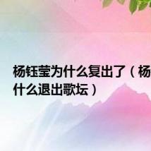 杨钰莹为什么复出了(杨钰莹为什么退出歌坛)