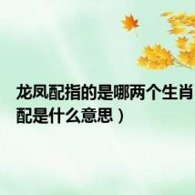 龙凤配指的是哪两个生肖(龙凤配是什么意思)