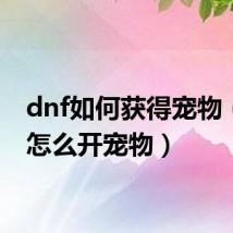 dnf如何获得宠物(dnf怎么开宠物)