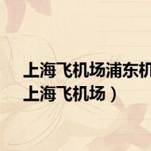 上海飞机场浦东机场（上海飞机场）