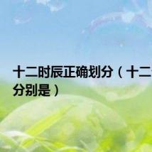 十二时辰正确划分(十二个时辰分别是)