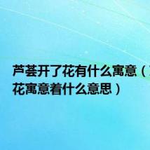 芦荟开了花有什么寓意(芦荟开花寓意着什么意思)