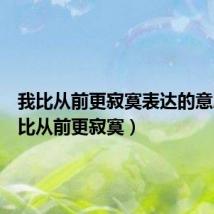 我比从前更寂寞表达的意思(我比从前更寂寞)