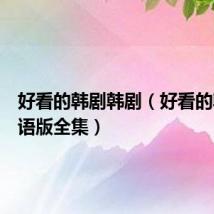 好看的韩剧韩剧(好看的韩剧国语版全集)