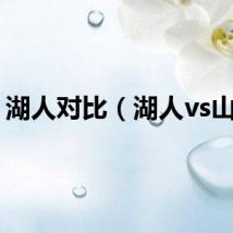 湖人对比(湖人vs山猫)