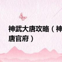 神武大唐攻略(神武大唐官府)