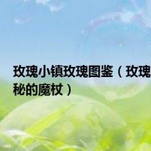 玫瑰小镇玫瑰图鉴(玫瑰小镇神秘的魔杖)