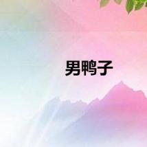 男鸭子