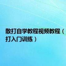 散打自学教程视频教程(自学散打入门训练)