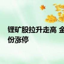 锂矿股拉升走高 金圆股份涨停
