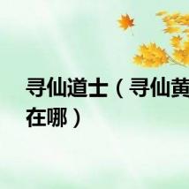 寻仙道士(寻仙黄道婆在哪)