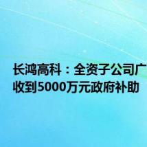 长鸿高科:全资子公司广西长鸿收到5000万元政府补助